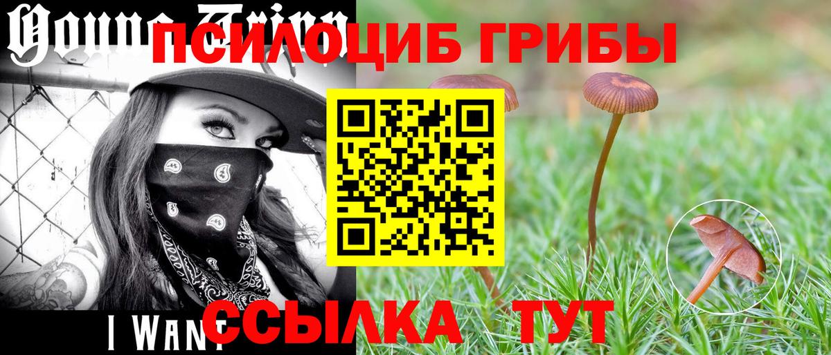 Галлюциногенные грибы мицелий Зима