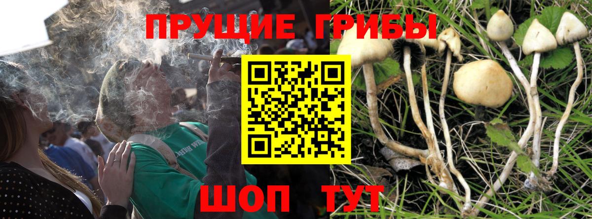 Зима  Псилоцибиновые грибы Magic Shrooms  Вход с VPN 