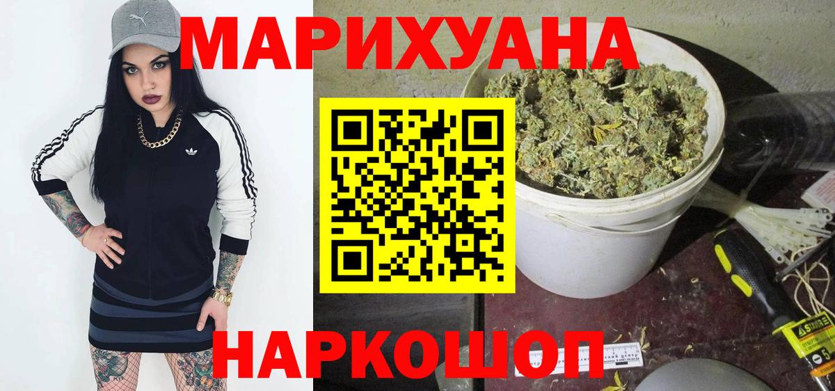 Конопля план  Каннабис Amnesia  Зима  Вход с VPN  Бошки марихуана MAZAR 