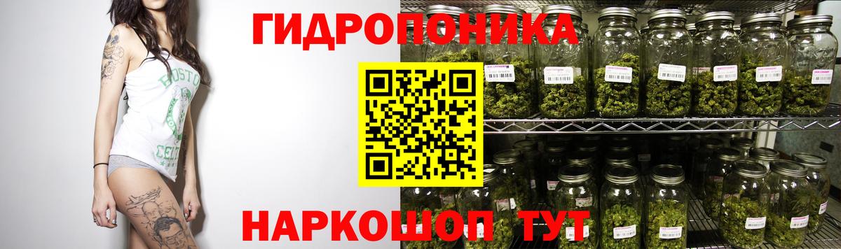 Канабис MAZAR Зима
